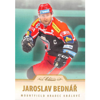 Extraliga OFS - Bednář Jaroslav - 2015-16 OFS Emerald No.135