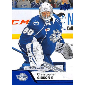 Karty AHL - Gibson Christopher - 2020-21 Upper Deck AHL Blue No.111