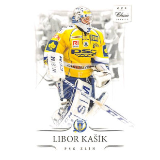 Extraliga OFS - Kašík Libor - 2014-15 OFS Rainbow No.45