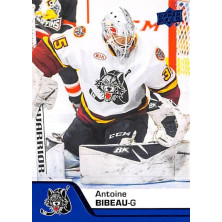 Bibeau Antoine - 2020-21 Upper Deck AHL Blue No.14