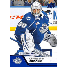 Gibson Christopher - 2020-21 Upper Deck AHL Blue No.111