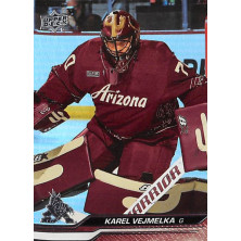 Vejmelka Karel - 2023-24 Upper Deck Silver Foil No.263