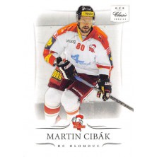 Cibák Martin - 2014-15 OFS No.194