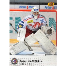 Hamerlík Peter - 2009-10 OFS No.305